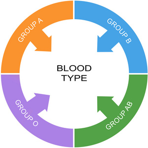 血型词圈概念