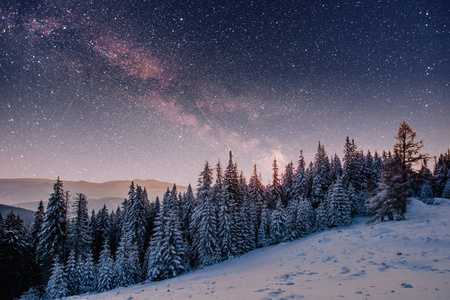 在冬雪的夜空中繁星闪烁。梦幻般的银河在除夕夜。繁星满天的冬夜。银河是一个梦幻般的新年前夕