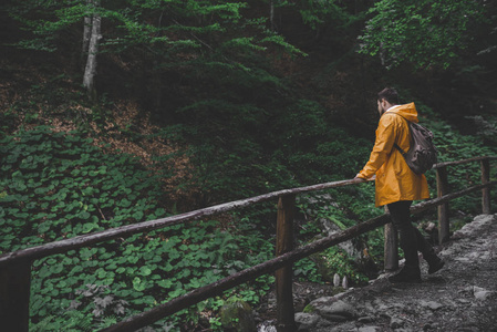 男子走在森林小径到瀑布的黄色雨衣。旅游理念