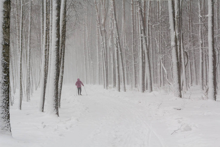 在白雪覆盖的公园里孤独的滑雪者。人