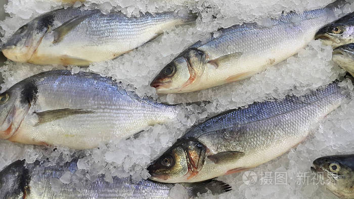 冰鲜凉鱼市场销售
