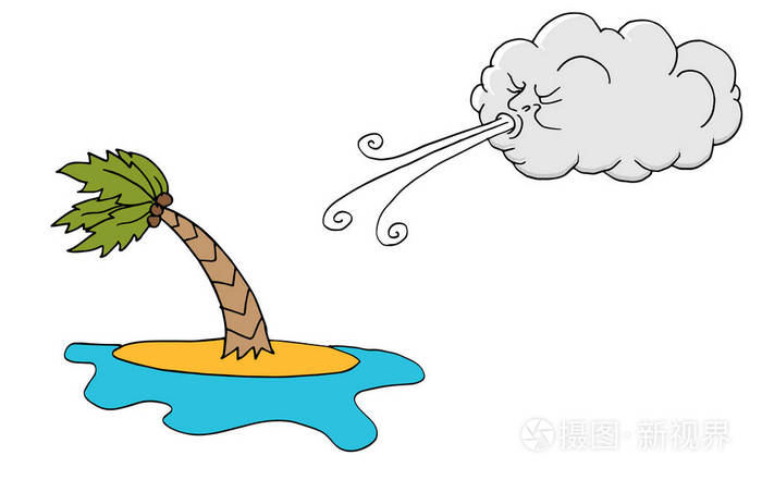 风天海岛plam树和云彩吹的风