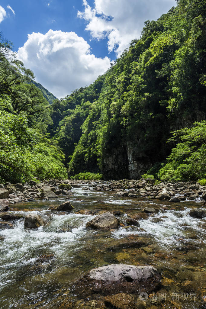 itaimbezinho峡谷内的大西洋雨林