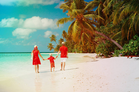 行走在海滩上的孩子的家庭
