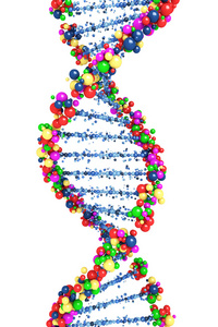 dna 螺旋结构