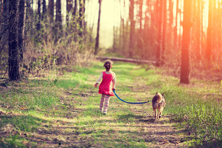 小女孩与狗走在森林里的道路上回到相机