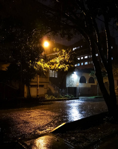 夜晚街灯素材素材图片 夜晚街灯素材图片素材下载 摄图新视界