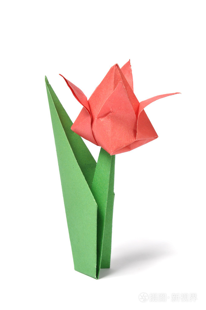 郁金香折纸简单的花图片