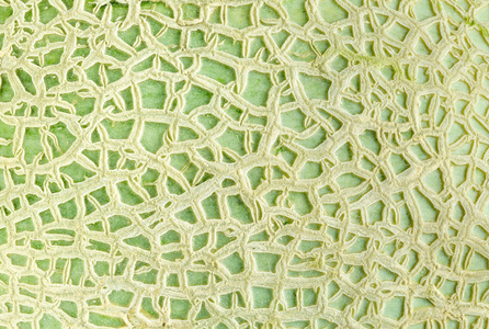 哈密瓜西瓜皮纹理关门的哈密瓜西瓜皮照片