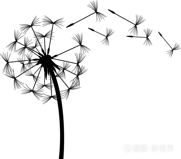 风中的蒲公英