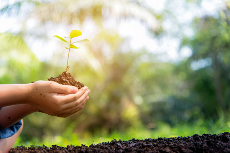 小亚洲女孩在自然公园里抱着幼苗, 看到植物和种子的生长阶段, 以减少