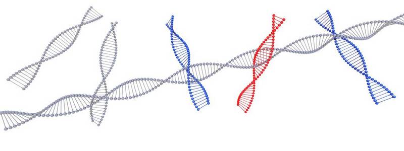 在白色背景下分离的 dna 符号3d 渲染