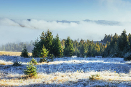 阳光照耀下的冬日景色。戏剧性的场面。风景浓雾。10月山范围在第一个冬天天。欧盟, 乌克兰, 欧洲