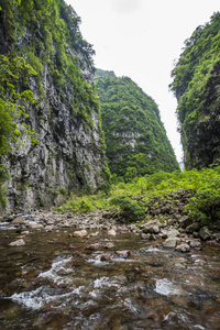 Itaimbezinho 峡谷内的大西洋雨林