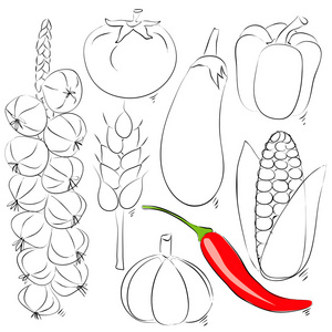 什锦蔬菜矢量图。手绘图素描