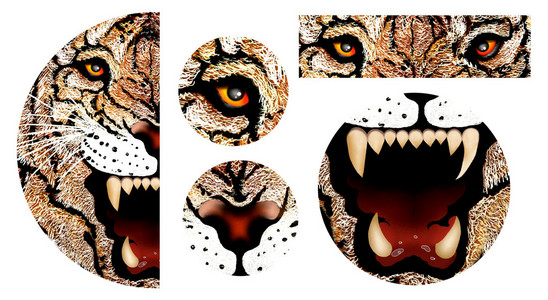 手绘图的老虎的脸照片