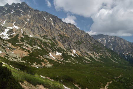 在多云的天空下的山和山谷的树林风景如画的景色