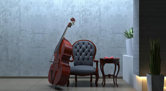 低音提琴浪漫内景图片