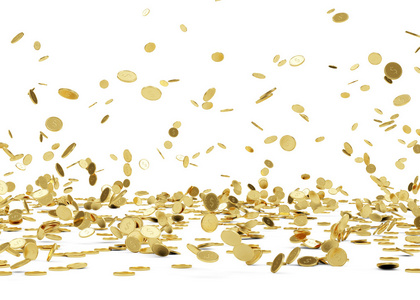 雨从金币照片