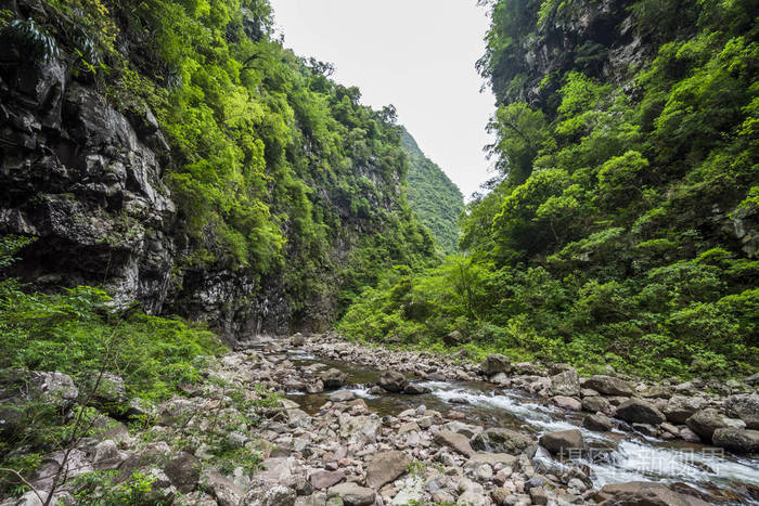 itaimbezinho峡谷内的大西洋雨林