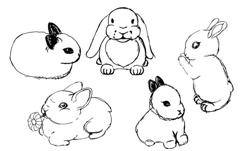 绘图的兔子图片-绘图的兔子素材-绘图的兔子插画-摄图新视界