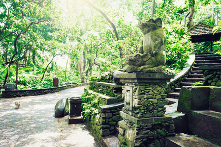 巴厘岛乌布猴庙