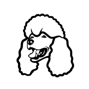 卷毛狮子狗图片-卷毛狮子狗素材-卷毛狮子狗插画-摄图新视界