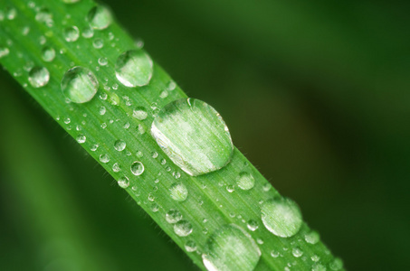 雨滴的宏