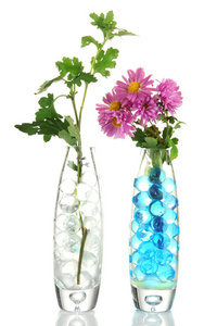 美丽的鲜花在水凝胶分离在白色的花瓶
