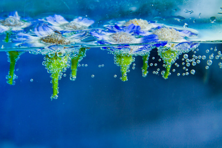 水中背景图片 水中背景素材 水中背景插画 摄图新视界 水中背景图片 水中背景素材 水中背景插画 摄图新视界