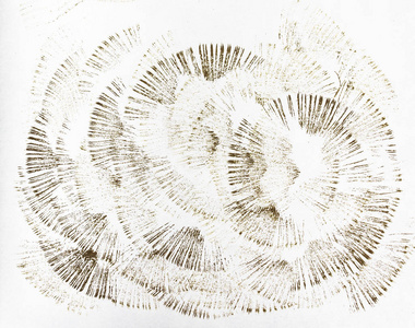 白色的痕迹图片