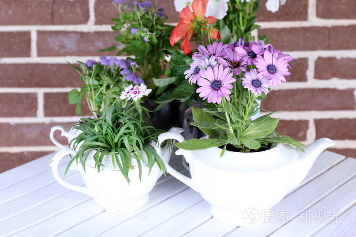 花在装饰花盆里放桌上对砖背景