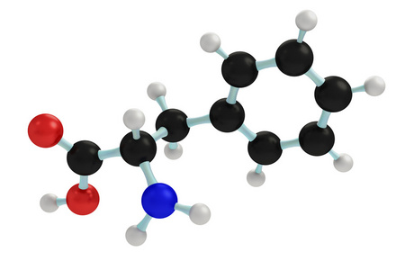 苯丙氨酸的模型