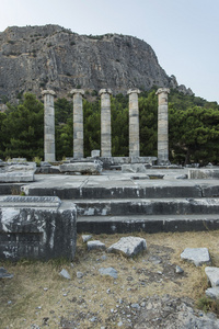 priene 的列