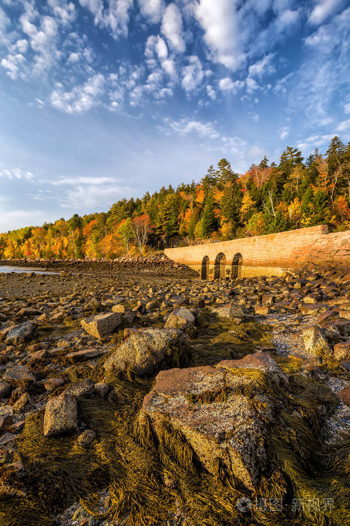 美丽的秋天的颜色在美国缅因州阿卡迪亚国家公园