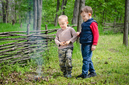 两个小男孩在林地生火