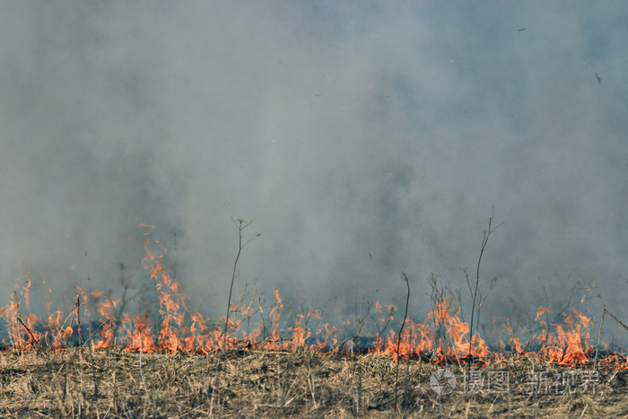 干草地上发生的火灾