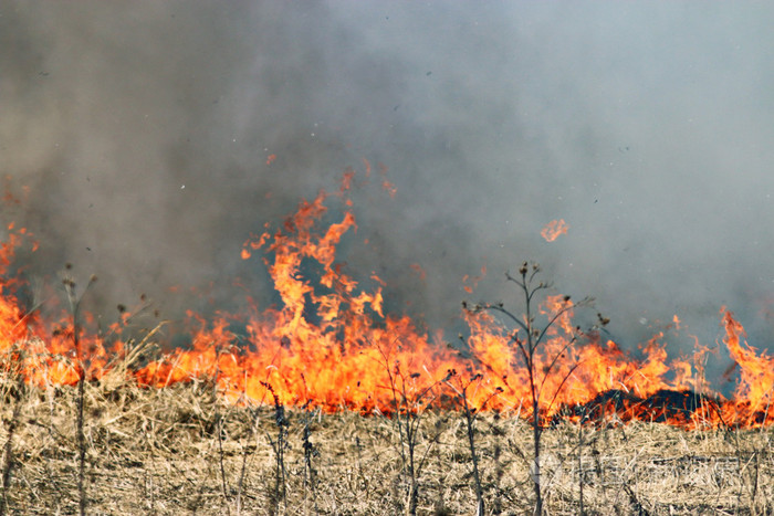 干草地上发生的火灾