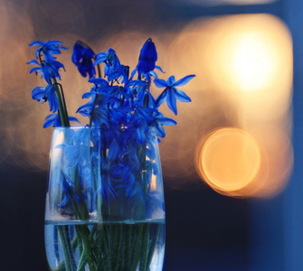 蓝色的春天的花朵的花束