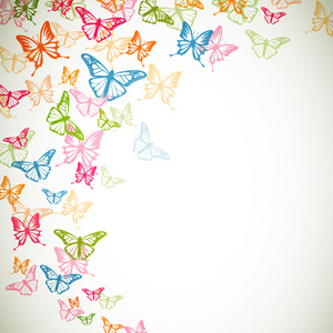 色彩艳丽的蝴蝶图片