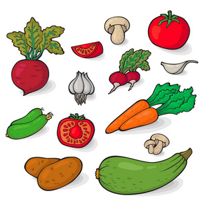 介绍蔬菜图片-介绍蔬菜素材-介绍蔬菜插画-摄图新视界