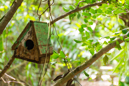 在你的花园装饰的小鸟的木制房子照片