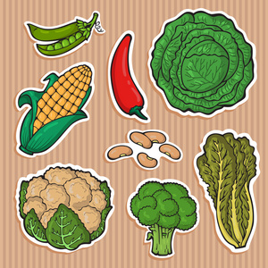 蔬菜贴纸矢量图标的设置。新鲜蔬菜