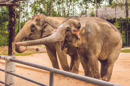 世界再大也要回家图片