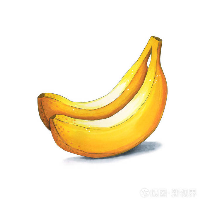 白色背景下的香蕉在酒精标记做的剪影