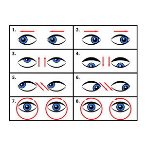 眼睛的练习。矢量图