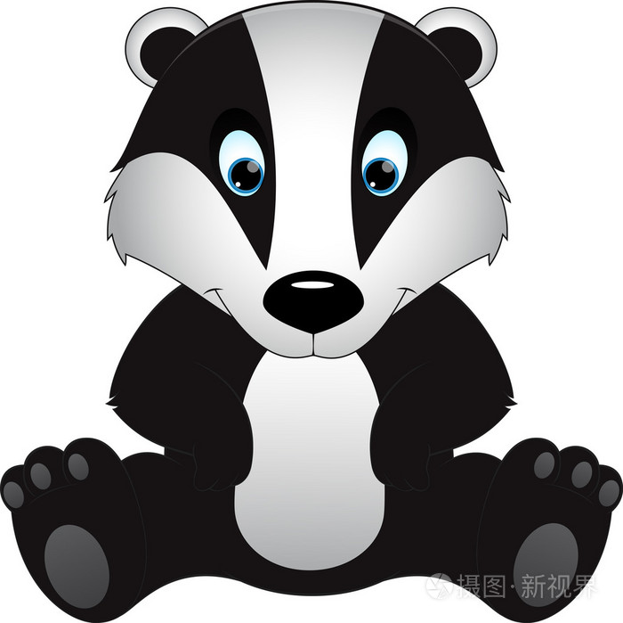 白色背景上孤立的獾