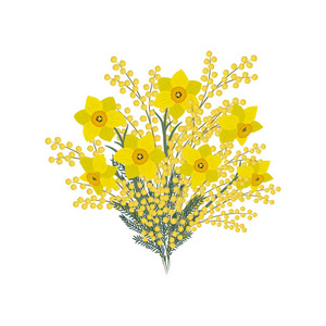 白色背景的 daffodills 和含羞草的花束。春天的黄花。花卉成分。矢量插图
