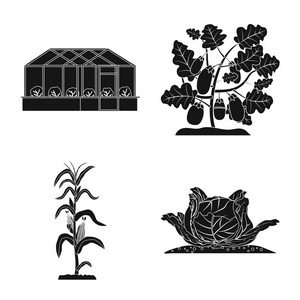 温室和植物图标的矢量设计。网站的温室和花园股票符号收集
