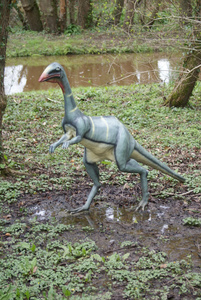 绿色的 ornithomimus灭绝的恐龙